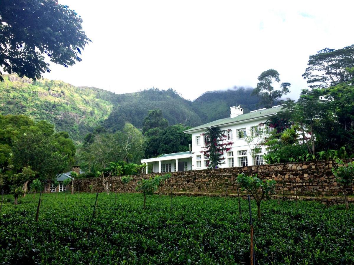 Hotel The Planters House à Koslanda Extérieur photo